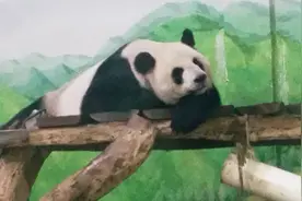 努力捂住伤口不喊疼视频封面