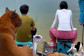 小伙儿用十米巨物竿钓浮，钓服女友#情侣钓鱼记 #钓鱼人就是这么疯狂 #绿联户外电源 #GS1200视频封面