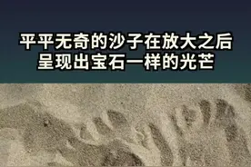 海边柔软的沙滩是由什么组成的？把沙子放大后像宝石一样美极了#涨知识 #科普 #doutech 视频封面
