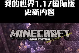 #我的世界 1.17国际版这些小知识你知道吗？#悟饭游戏厅 #暑期游戏玩玩节 