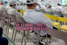 在工厂上班，为什么劝你不要太拼命干活？3个原因告诉你，很现实视频封面