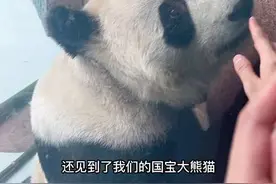 宝子们～春游好去处非“大青山野生动物园”莫属了叭，这份游玩攻略记得收藏好哦，快约上大盆友小盆友一起去叭#亲子游玩好去处 #黑妞儿探呼市 #大青山野生动物园 #心动五一 #熊猫宝宝视频封面