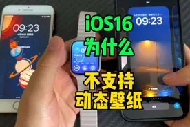iOS16为什么不支持动态壁纸？#iOS16 #动态壁纸 #iphone