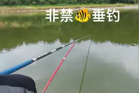 你们喝秋天第一杯奶茶，我只要钓@秋天第一条鱼。视频封面