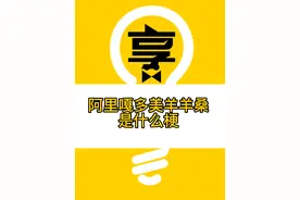 阿里嘎多美羊羊桑是什么梗？收藏起来，以后或许会用到😅视频封面