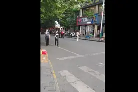 遇到临时的‘交通指挥员’视频封面