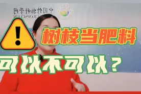 把修剪的枝条碾碎作为肥料撒到地里，可以不可以？#有机肥视频封面