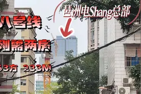 电shang总部对面 海珠第二实验小学 金沙幼儿园 赤岗地铁附近视频封面
