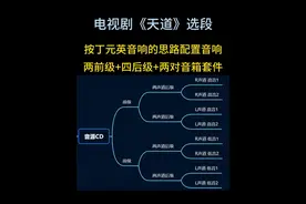 芮小丹按丁元英的思路配置音响，两前级4台后级推两套喇叭套件，高低分音直推#发烧音响 #发烧友 #发烧hifi #诚信音响 #天道