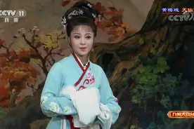 黄梅戏《天仙配》  袁媛  赵章伟视频封面