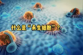 什么是海拉细胞？又称“永生细胞”？ #细胞   @抖音小助手视频封面