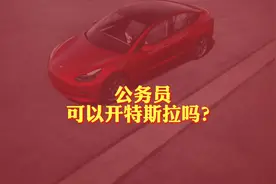 公务员可以开特斯拉吗？#体制内 #公务员 #特斯拉视频封面