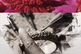 #同安印象 非遗秀同安|指尖时光•春仔花：缠绕的哲学：执手拈花，一根线从传统土壤中缠出新的天地，由此兴盛不衰。视频封面