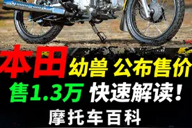 本田国内发布幼兽，售1.3万，快速解读#摩托车#本田幼兽 #机车视频封面