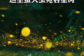 童话世界！这里萤火虫宛若星河视频封面