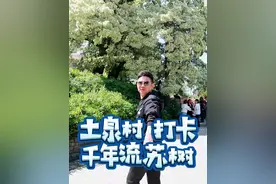 这个树等了你2700年 你还不快点来吗？#五一去哪儿 #五一假期好去处 #心动五一 #千年古树 #户外视频封面