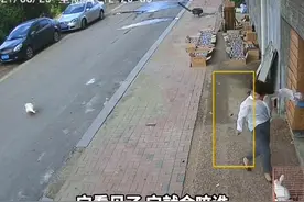 女主人当着公鹅面拿鹅蛋被记仇，每次路过都被追咬#被鹅追着咬#大鹅 视频封面