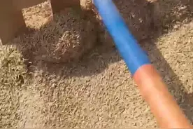二师兄的武器视频封面