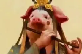 十二生肖  亥 猪视频封面