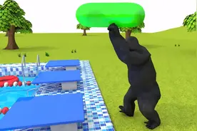 小动物们都去游泳了，看起来好开心的样子呢！