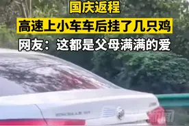 10月6日，G3京台高速，国庆返程，小车车后挂了几只鸡，网友：这都是父母满满的爱。#国庆返程#后备箱 视频封面