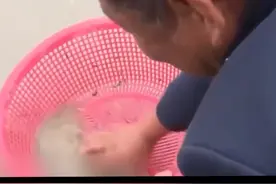 注意！这时吃它们会中毒！#唐山提醒近期不食用野生毛蚶海虹！赤潮爆发高峰期，不要采捕和购买食用野生的贝类视频封面