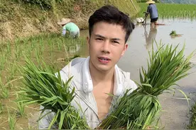 这边的稻田终于插秧完了，这几天一家人真的太辛苦了，大家不嫌弃的点个关注点个❤️#插秧季节 #水稻种植视频封面