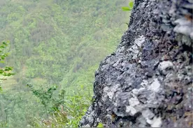 找了一上午😡真服了你这个老六🌚#我的乡村生活 #生态放养 #农村生活 #动物的迷惑行为 #放羊