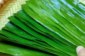 生粽叶和熟粽叶的两种使用和保存方法。#粽叶飘香迎端午 #包粽子视频封面