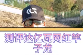 达亿瓦子龙路亚竿评测视频封面
