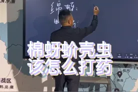棉芽蚧壳虫预防方案#新农人计划2023 #农业 #果园数据化管理 #三农 #传播农业小知识视频封面