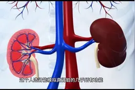 人造肾终于要出来了视频封面