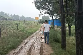 山东曹县牛逼666我类宝贝儿视频封面