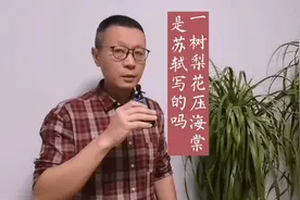一树梨花压海棠？苏轼：我不背这锅！视频封面