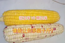 减肥时玉米选错，小心越吃越胖！玉米这样选多瘦10斤！视频封面