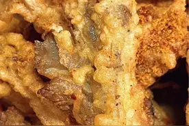 干炸蘑菇 干香酥脆 做法家常#干炸平菇 #炸年货 #美食 #跟着抖音学做菜视频封面