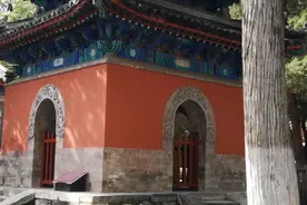 佛说：握紧拳头，你的手里是空的；伸开手掌，你拥有全世界。视频封面