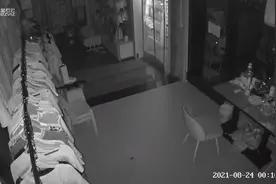 想试用监控功能不小心发现了小老鼠🐀，学了几声猫叫，还是能驱鼠视频封面