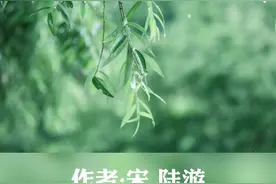 《临安春雨初霁》朗诵：朱卫东视频封面