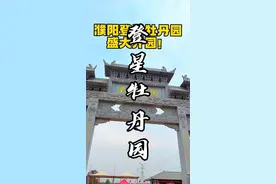 #牡丹花儿朵朵开 登星牡丹园盛大开园！人间最美四月天，快来赏花#牡丹花开满园香视频封面