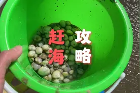 发现了一个赶海的好地方。赶海省钱攻略，注意事项都在视频里。视频封面