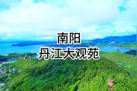 来南阳丹江大观苑游玩，记得收藏这份攻略#金银花采摘节