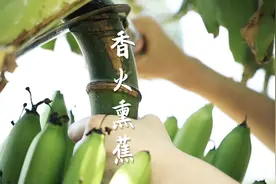 原来熟香蕉是这样来的-顺德传统手法之香火蕉 #香蕉  #向往的生活视频封面