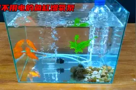 自制不用电的鱼缸增氧泵，真是不可思议视频封面