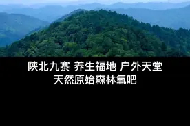 黄陵国家森林公园，原始森林天然氧吧，梦想中的避暑圣地！#旅游攻略 #黄陵国家森林公园 视频封面