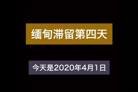 带你了解疫情开始真实的一个缅甸，那时候感染人数还在十位数……视频封面