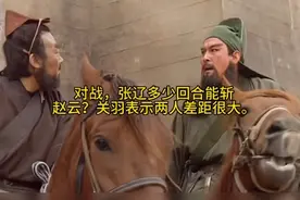 公平对战，张辽多少回合能斩赵云？关羽表示两人差距很大。#历史视频封面