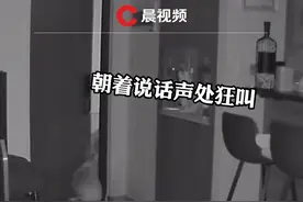 天津一女子家门半夜忽然打开，小狗听到动静立马跑去门口守护。女子：对象睡得比较沉，狗狗冲出去半天都回来了他还没醒视频封面
