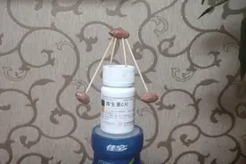 饭后酸奶和维生素最搭配，一起来看我的小花生米跳舞吧