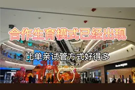 合作生育模式已经出现了，它比单亲妈妈试管婴儿好得多！视频封面